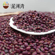 Bean kindey haricot rouge foncé à vendre impulsions